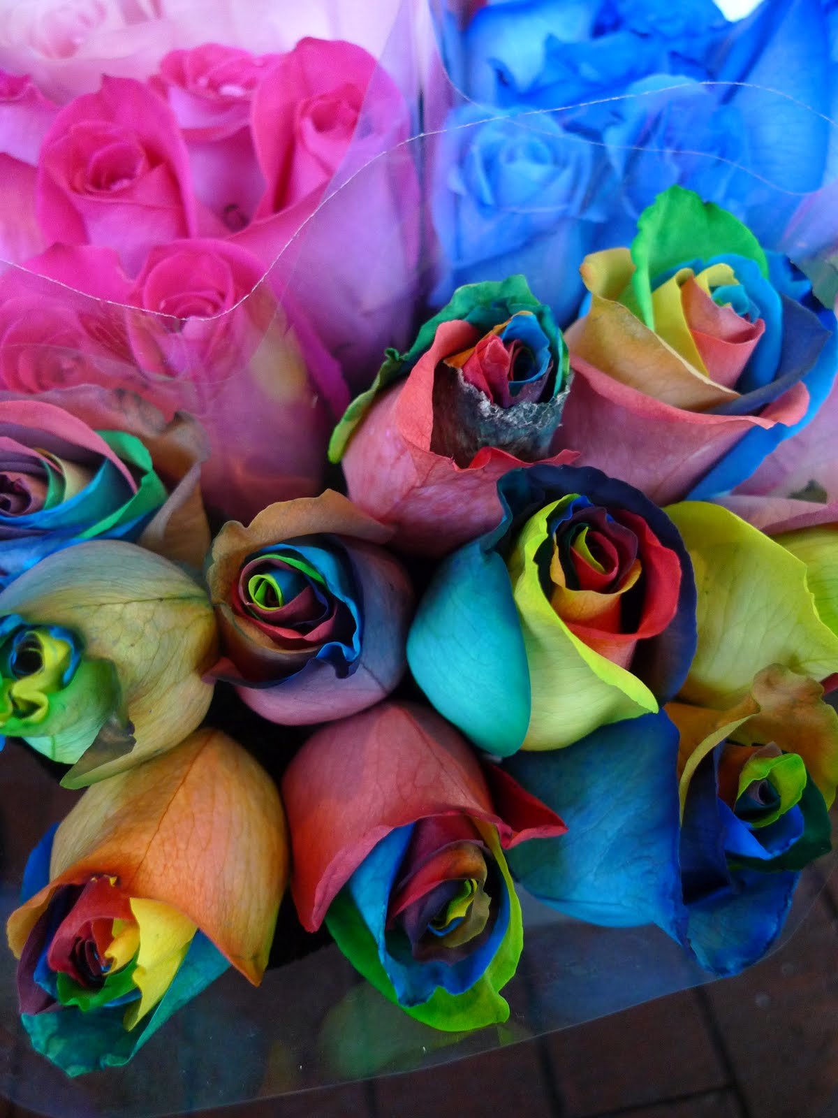 ��� ������� ����� ��������� ����������