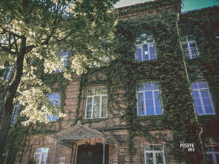 гродно мариинская гимназия фото