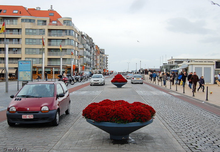 renault twingo фото