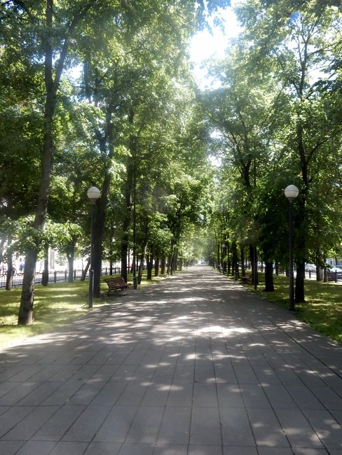 парк фото