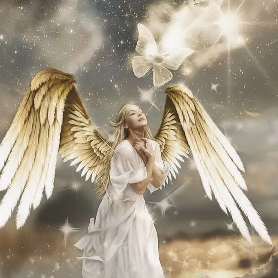 ����� ���� �������