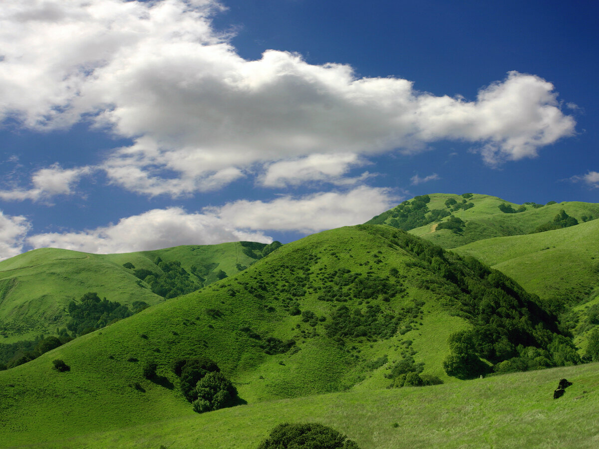 green hills зеленые холмы фото