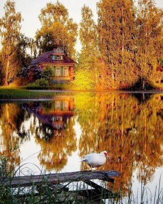 деревня осенью фото