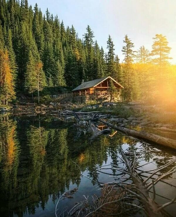 домик в лесу у озера фото