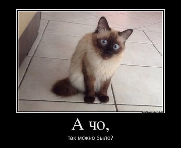 https://avatars.mds.yandex.net/get-pdb/2296909/65912ee0-7cb8-4e04-b3c3-8ccfe50833dd/s375