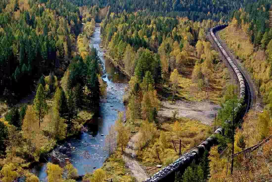 ����� ����� ����� ����