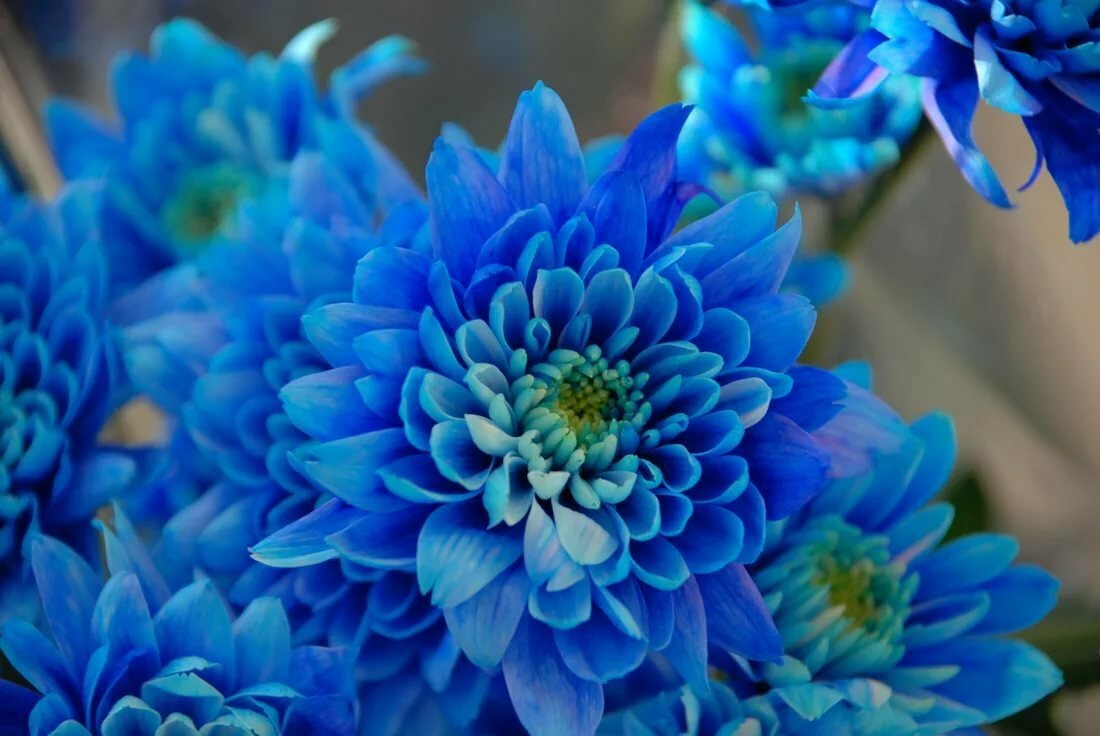 Картинки синие фото