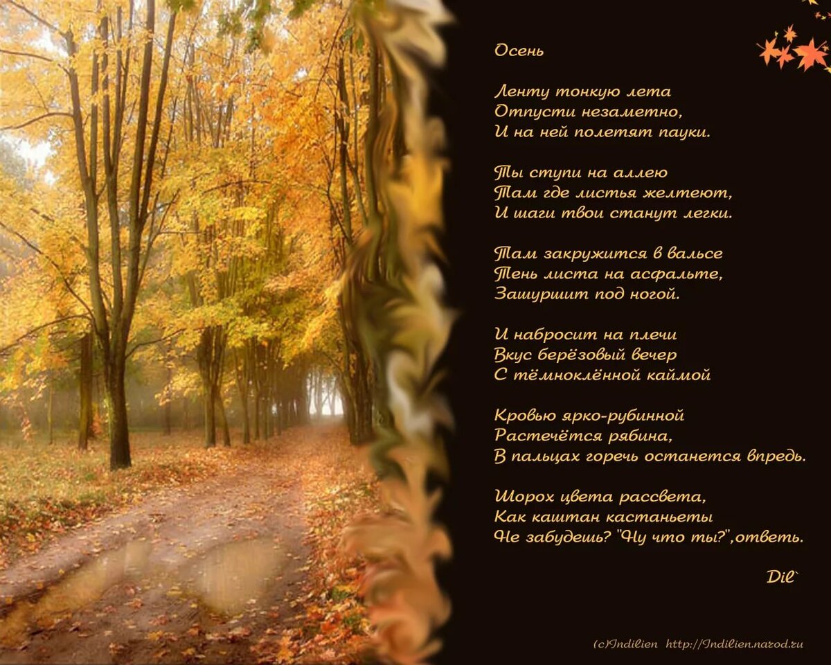 Стихи про осень красивые да еще с картинками