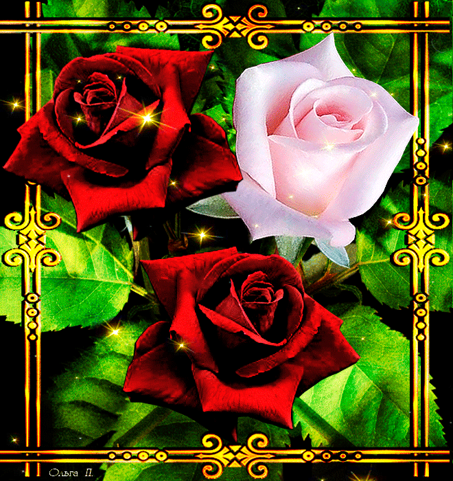 �������� ���� �������� ��������, ���������