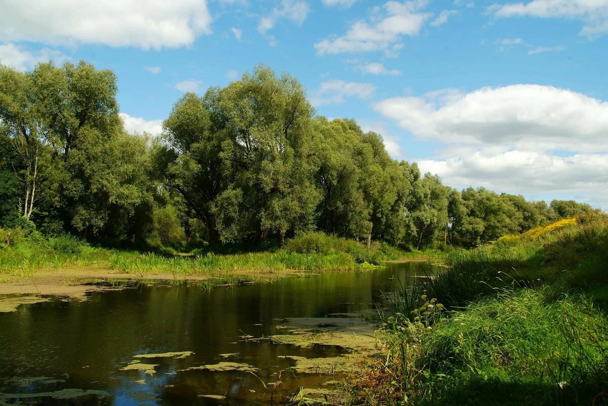 у реки фото