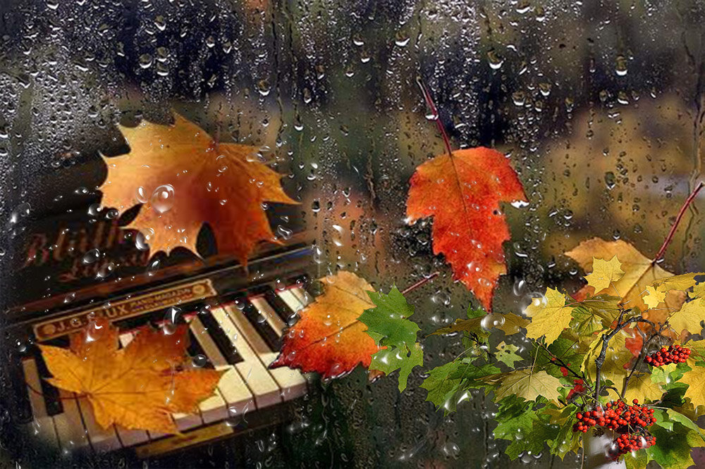 Вот и осень пришла картинка