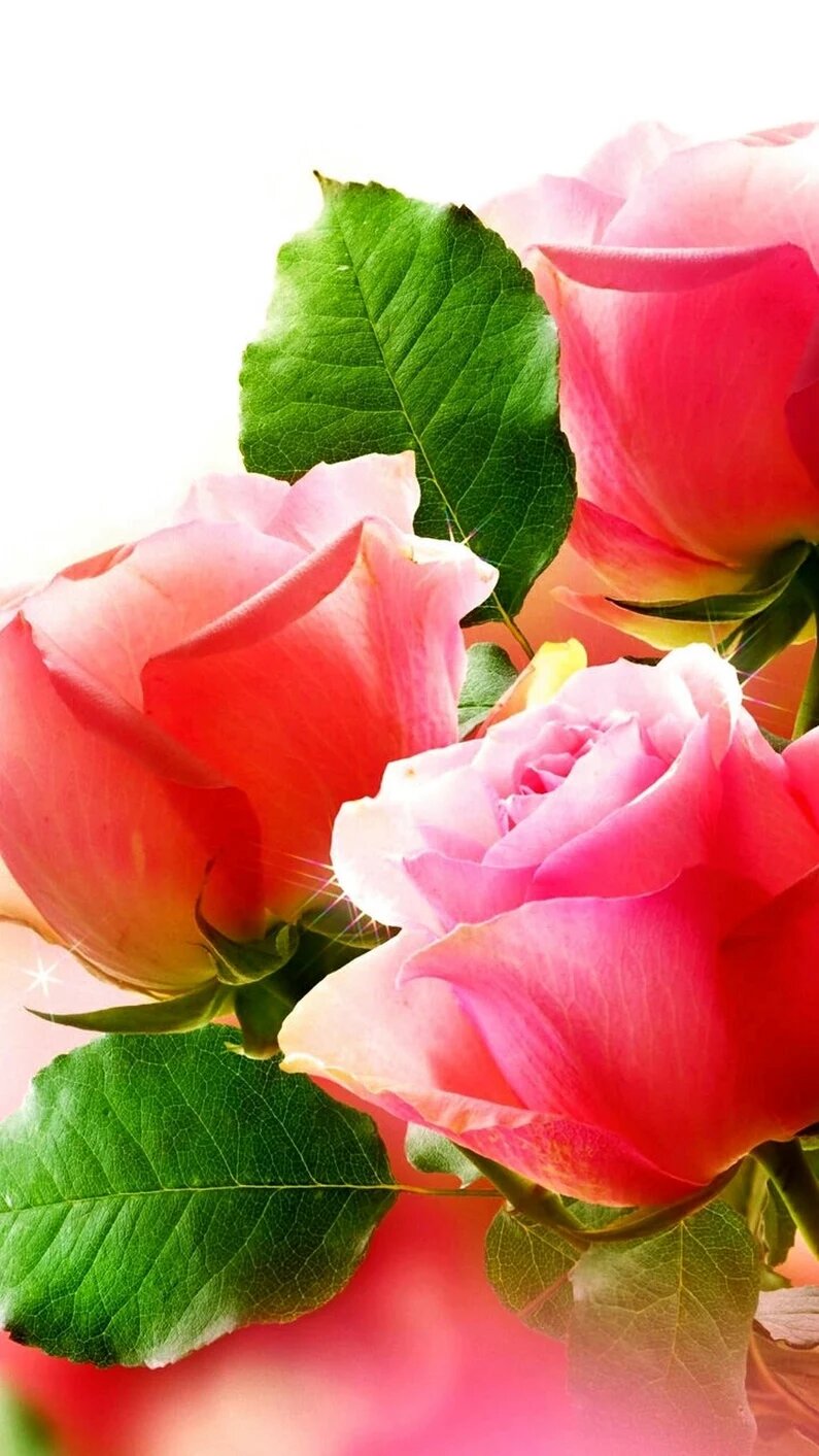 ������� ����, ���������� ����� �� ���������