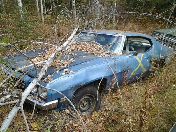 заброшенные автомобили фото