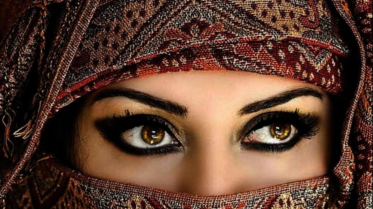 ����, �������� � ���������� ���������