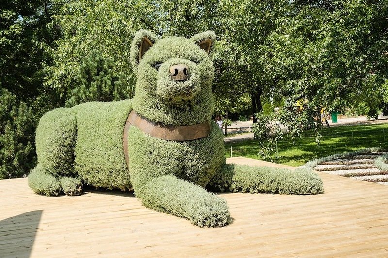 скульптуры из кустарников фото