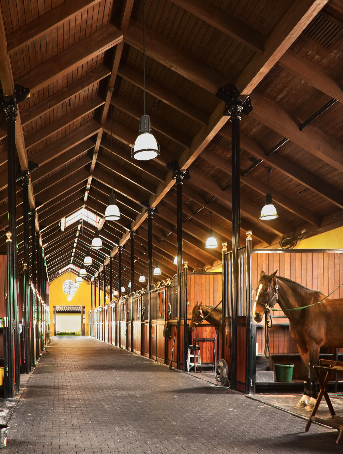 Black butte stables