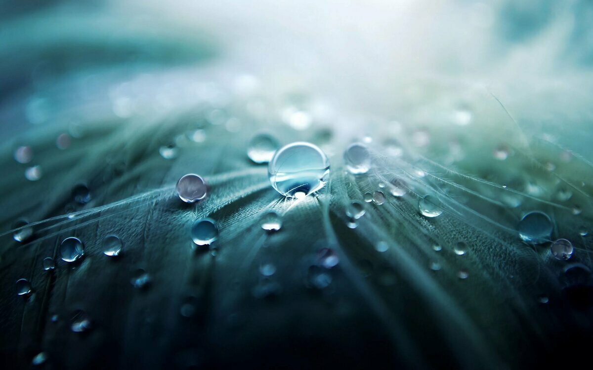 капли воды фото
