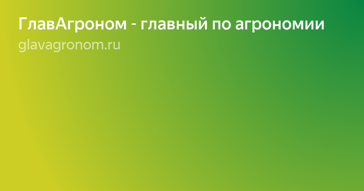 Текст фото