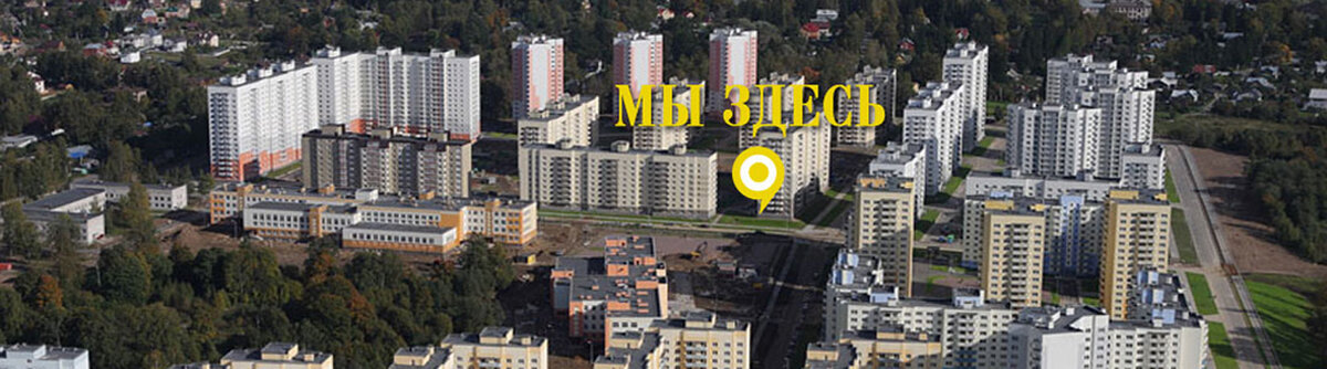 осиновая роща санкт петербург фото