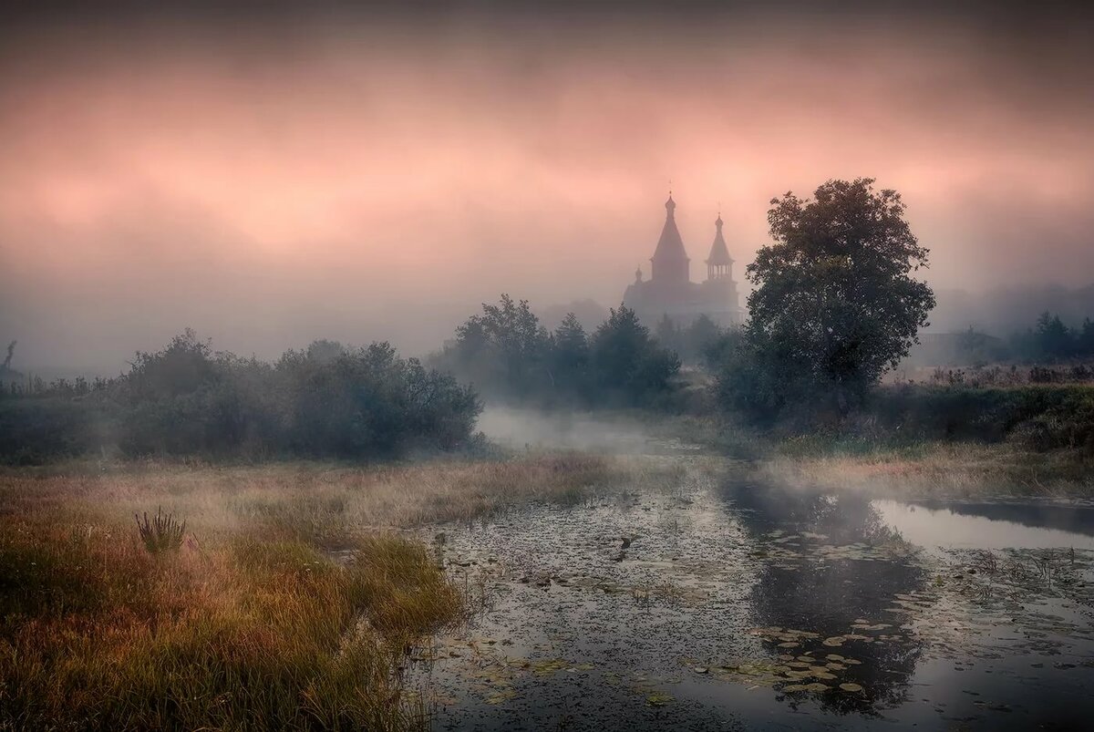 фотограф роман лунин фото