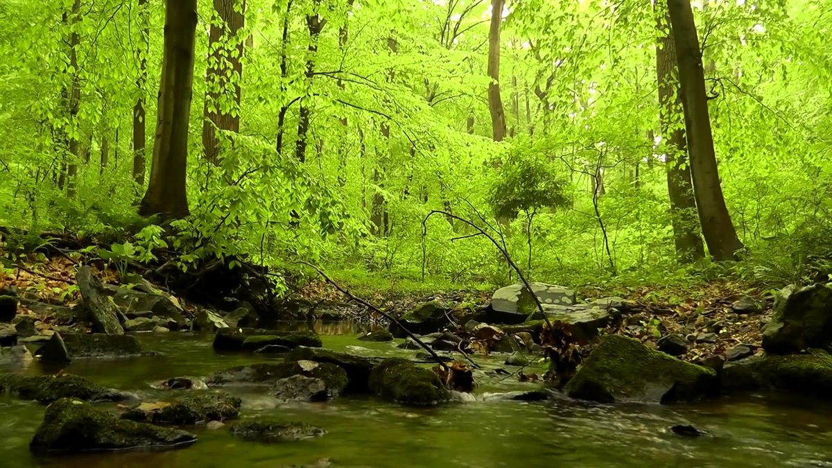 ������� �������, �������� � ������� �������