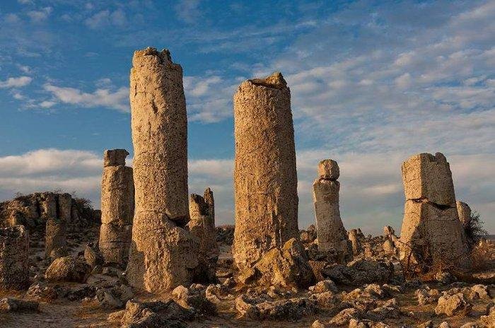 каменный лес варна фото