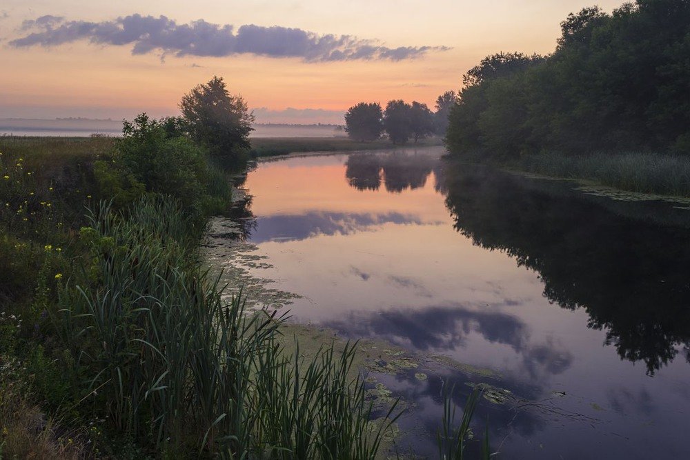 река псел фото