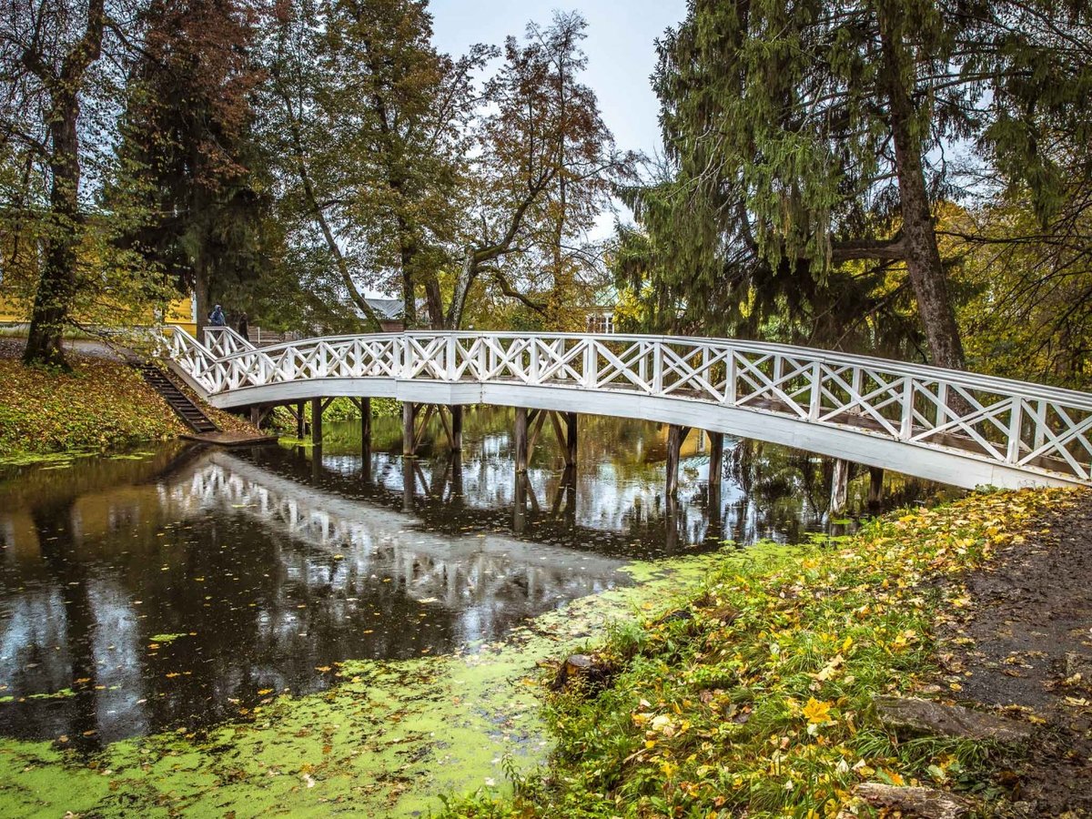 болдино усадьба пушкина фото