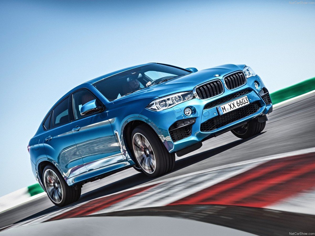 x 6 m bmw фото
