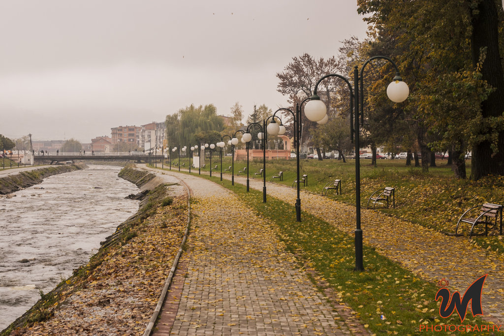 осень пасмурно парк фото