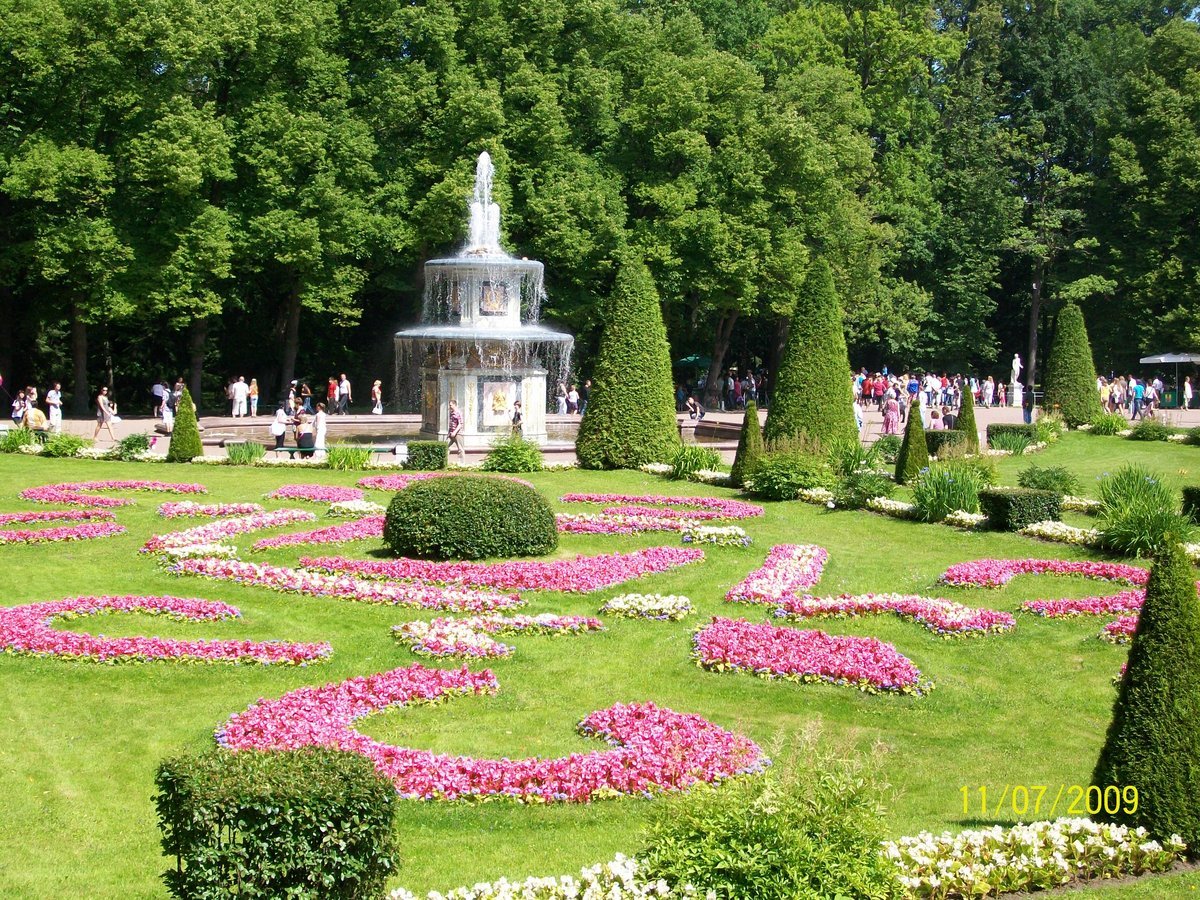 петергоф нижний парк фото