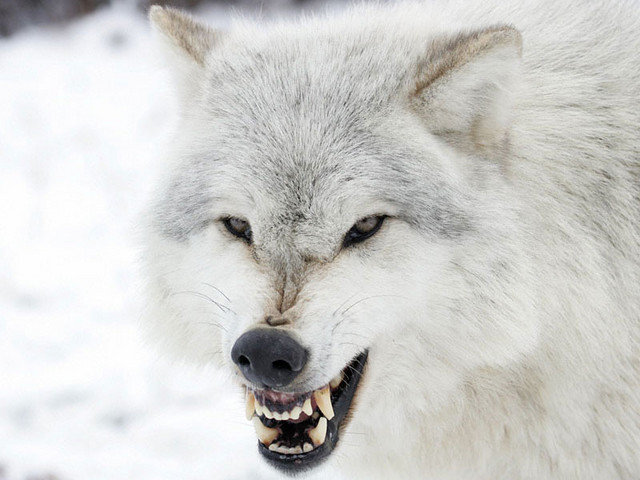 �������� � �������� � � ����� ������, ��������