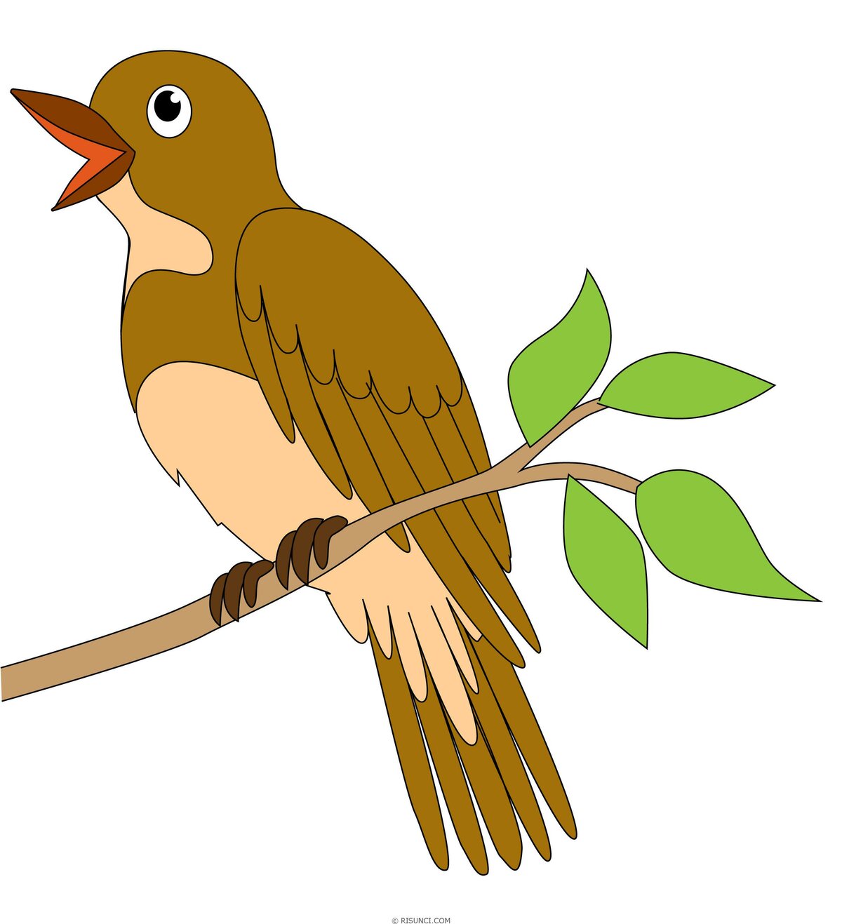 Картинки соловей для срисовки