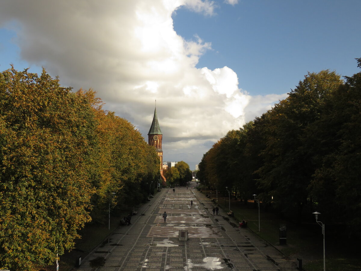 остров канта калининград фото