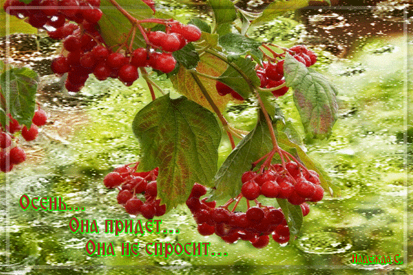 Осень, она придет, она не спросит…