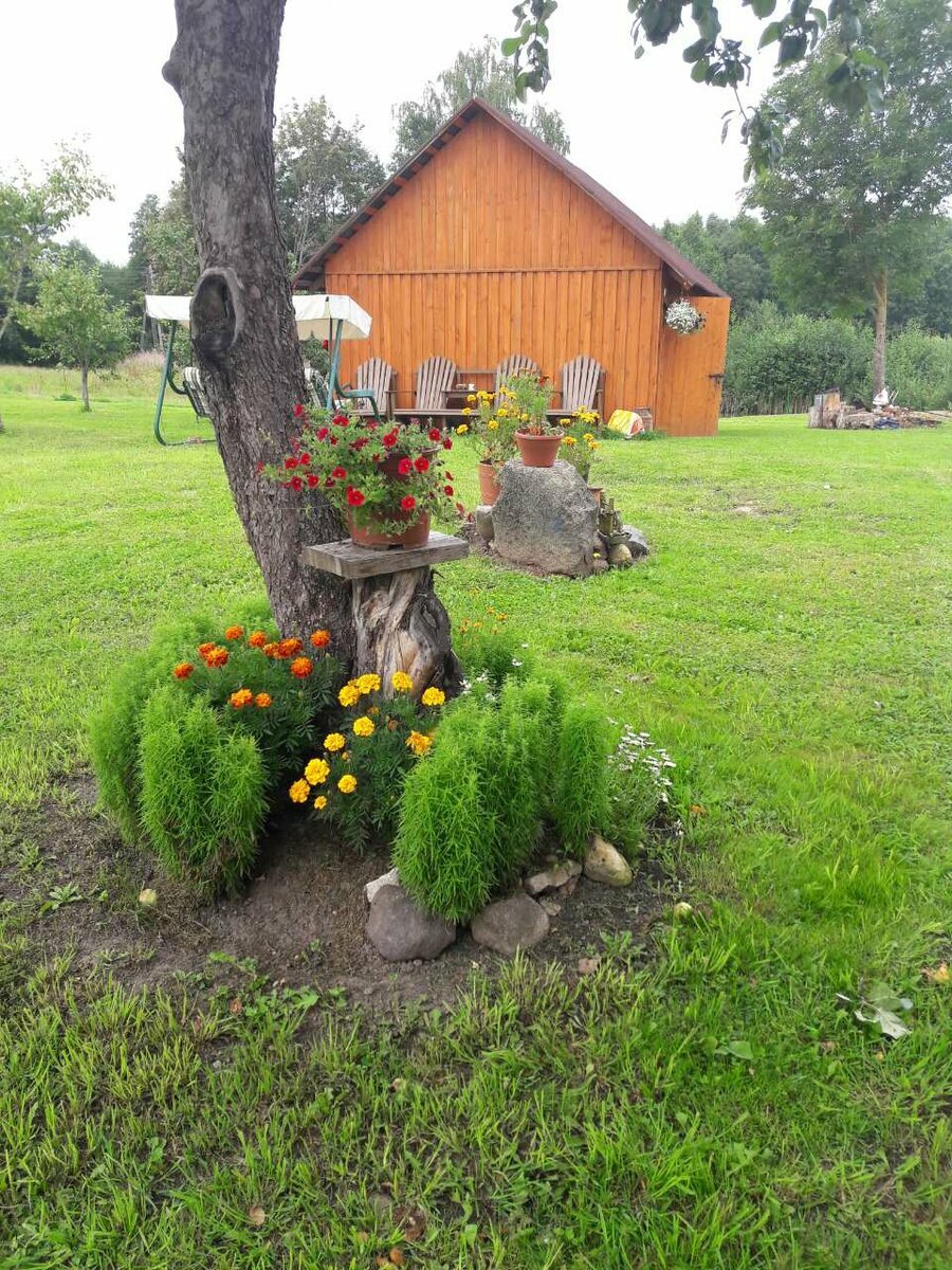 клумбы в пеньках фото