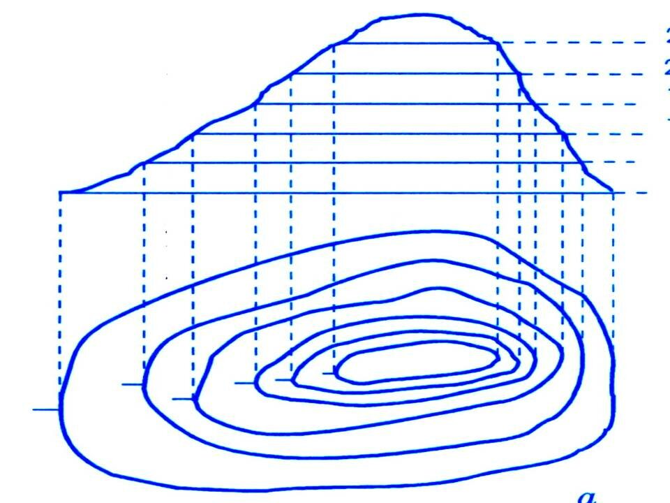 Как называется линия на плане или карте соединяющая точки с одинаковой абсолютной высотой ответ