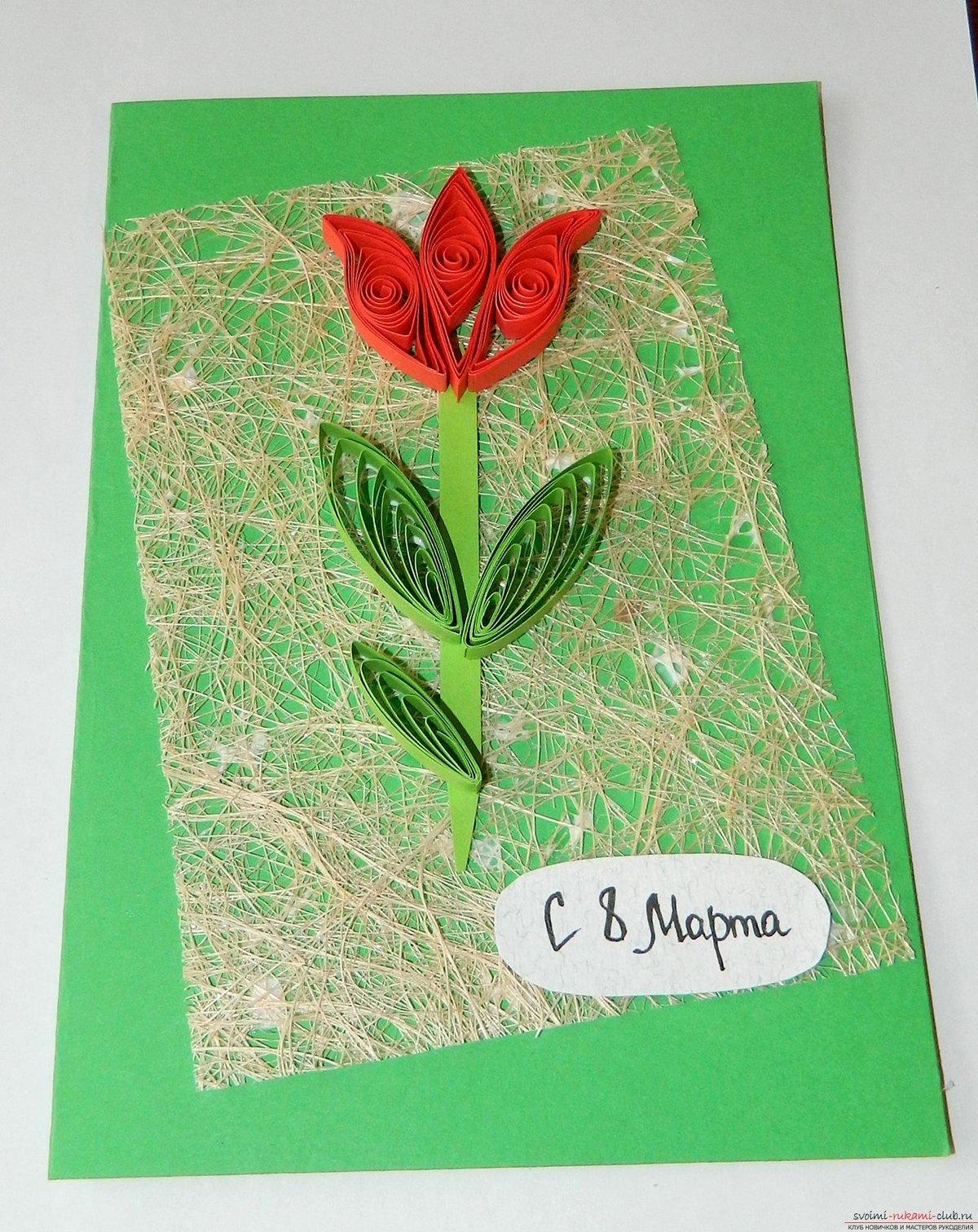 �������� � 8 ����� �������� �������