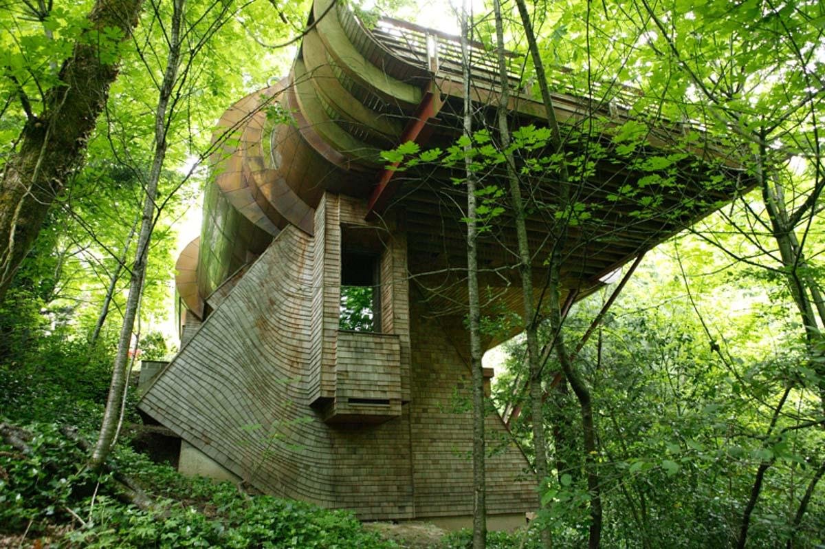 самые необычные домики в лесу фото