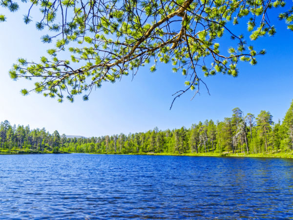 оз горовалдайское фото