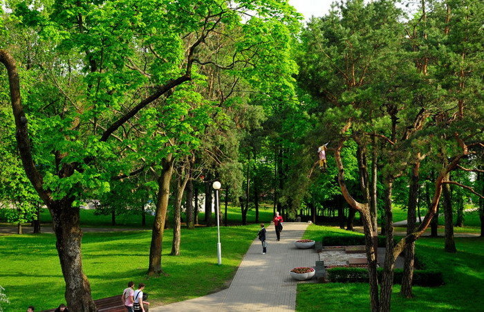 парк горького минск фото
