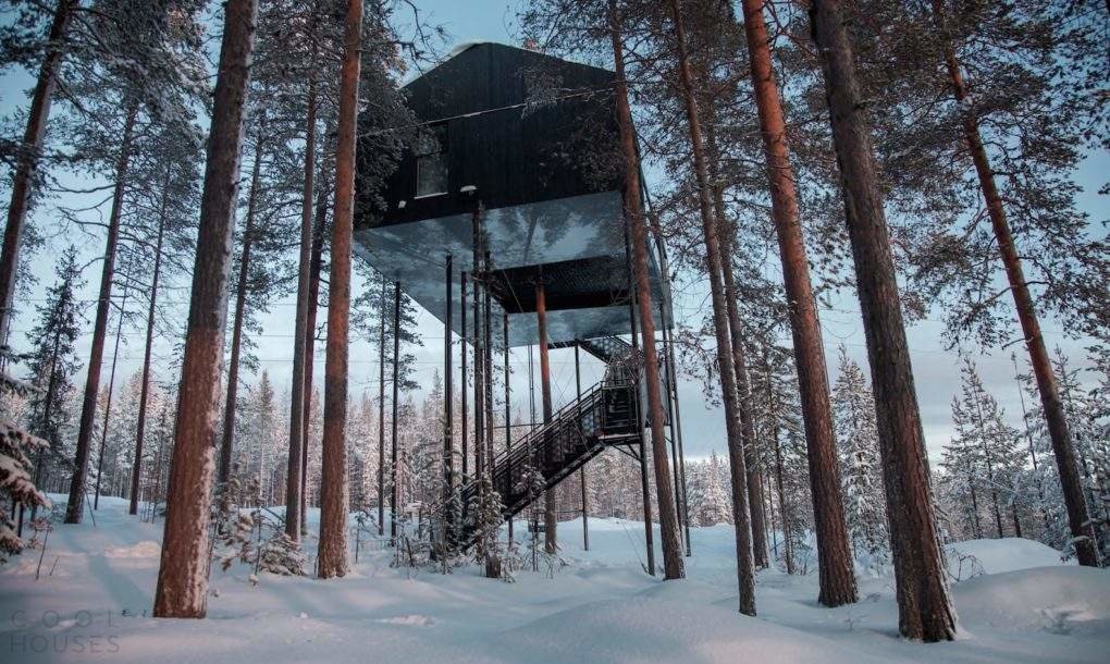 отель treehotel в швеции фото