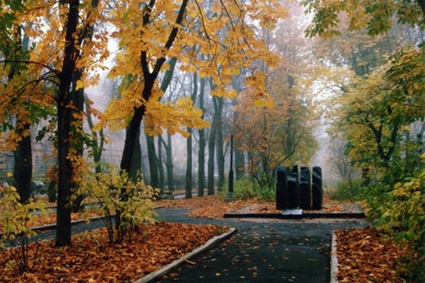золотая аллея калуга фото