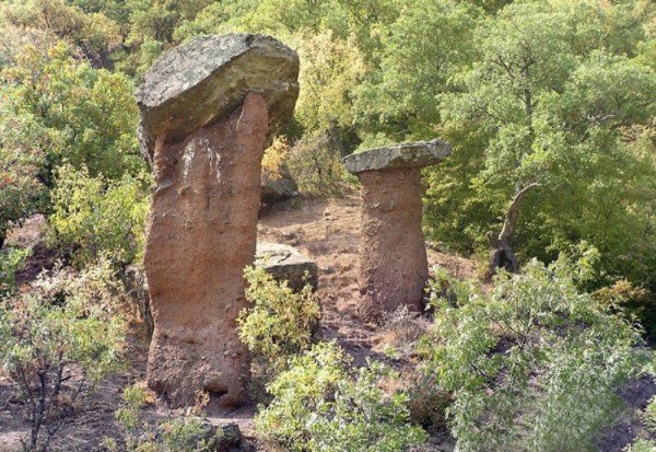 сотера каменные грибы крым фото