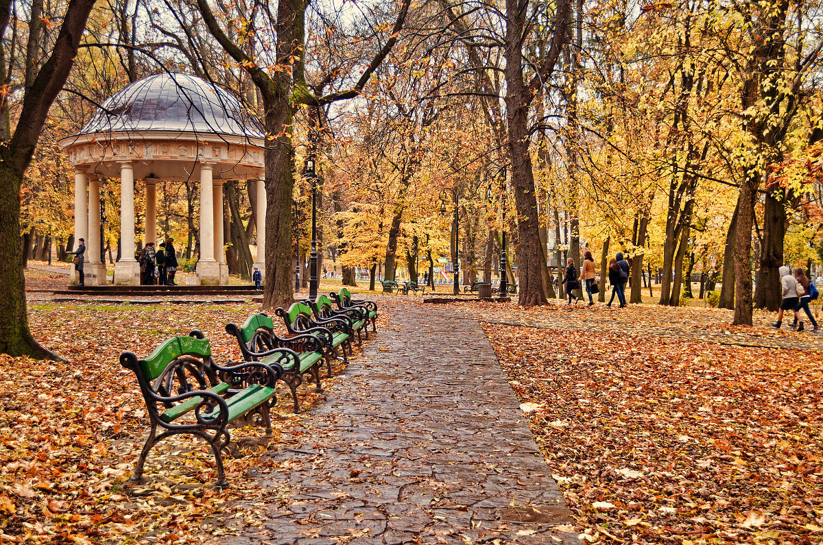 осень парк фото