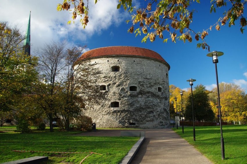 толстая маргарита в таллине фото