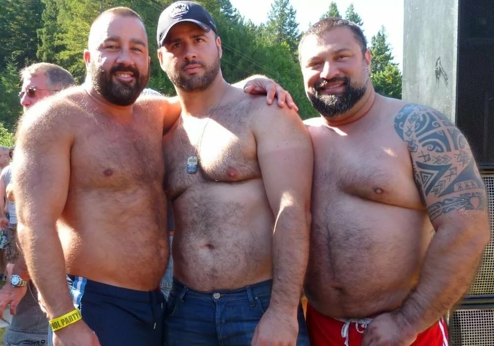 Bear gays