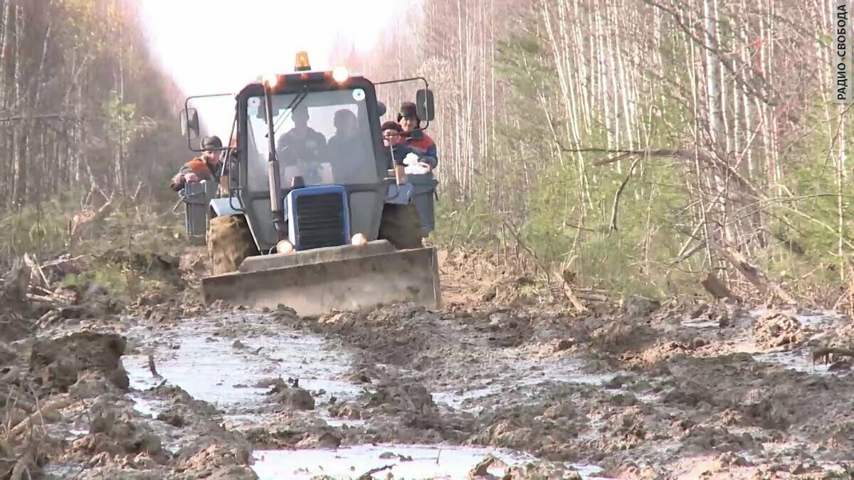 францево фото