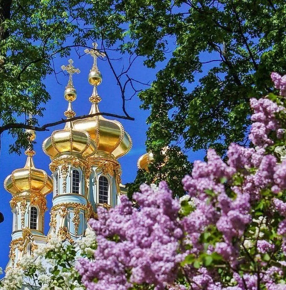 весна храм сирень фото