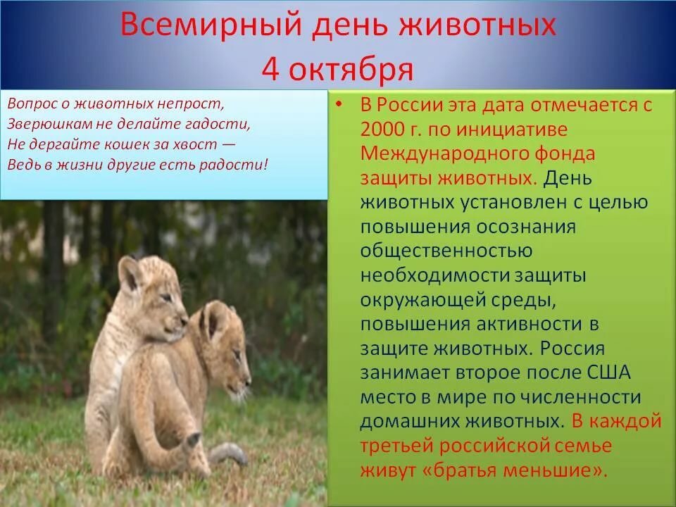 Всемирный день животных 4 октября